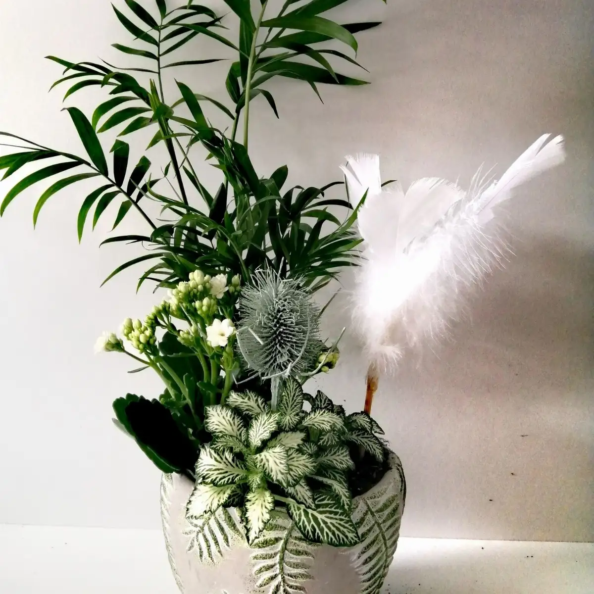 Composition plantes vertes et fleuries